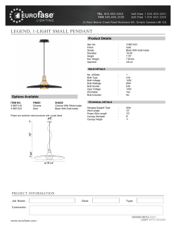 LEGEND, 1-LIGHT SMALL PENDANT