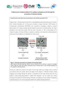 Enhancement of photosynthesis (CO2 uptake) and plant growth