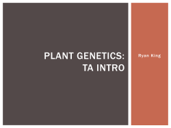 (Carrots) Long term goal: Determine most effective