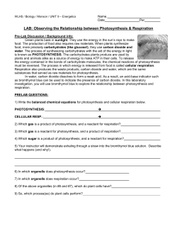 LAB: Observing the Relationship between Photosynthesis