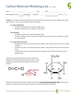 Carbon Cycle Modeling Lab
