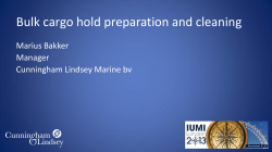 Bulk cargo hold preparation and cleaning