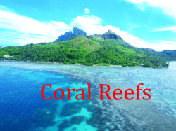 Coral Reefs - JonesMarineBioPurple