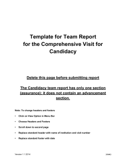 Template for Team Report