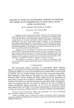CHANGES IN LEVELS OF NICOTINAMIDE ADENINE
