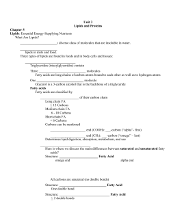 Unit 3 Lipids and Proteins Chapter 5 Lipids: Essential Energy