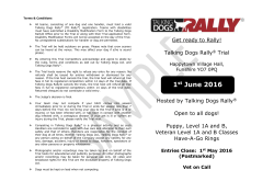 Terms and Conditions: