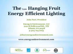 The Low Hanging Fruit Energy Efficient Lighting