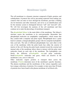 Membrane Lipids