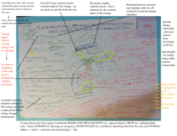! life needs a highly ordered system - this is maintain by the constant