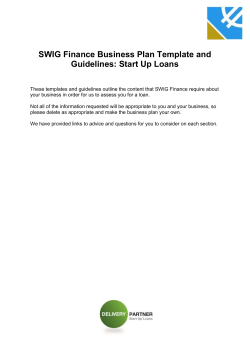 SWIG Finance Business Plan Template and Guidelines: Start Up
