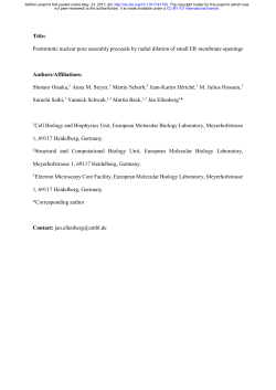Postmitotic Nuclear Pore Assembly Proceeds By Radial