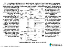 powerpoint - Biology Open