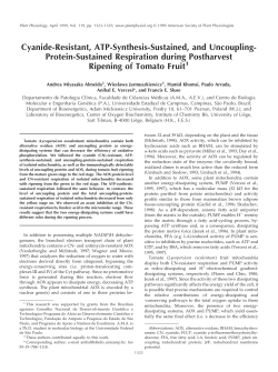 Cyanide-Resistant, ATP-Synthesis-Sustained, and