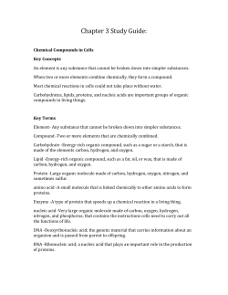 Chapter 3 Study Guide