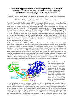 Familial Hypertrophic Cardiomyopathy &ndash; is radial is radial stiffness of