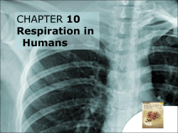 10.4 Breathing Mechanisms in Humans Chapter