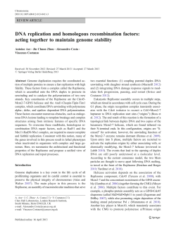 DNA replication and homologous recombination factors: acting