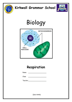 File - Kirkwall Grammar School