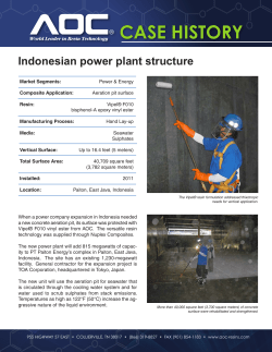Indonesian power plant structure