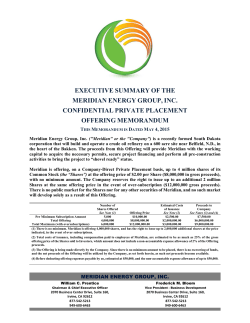 executive summary of the meridian energy group, inc. confidential