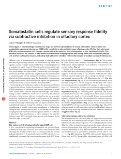 Somatostatin cells regulate sensory response fidelity