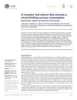 A receptor and neuron that activate a circuit limiting sucrose