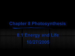 Photosynthesis PPT