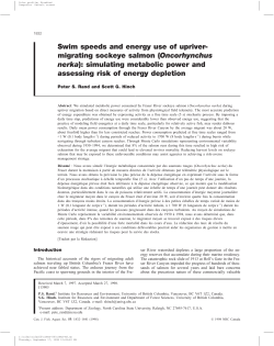 Swim speeds and energy use of upriver