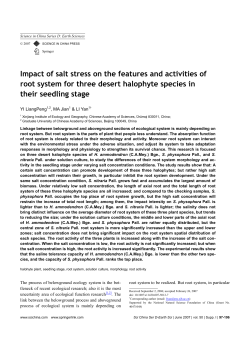 Impact of salt stress on the features and activities of root system for