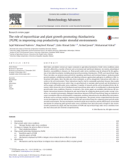 The role of mycorrhizae and plant growth promoting rhizobacteria