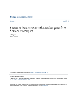 Sequence characteristics within nuclear genes
