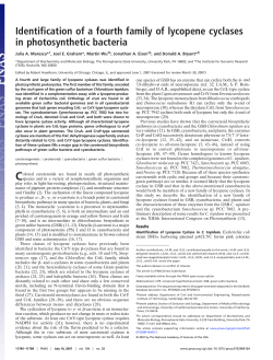 Identification of a fourth family of lycopene cyclases in