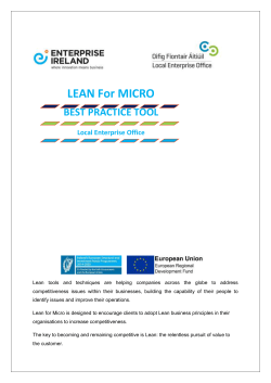 Lean For Micro Brochure - Local Enterprise Office