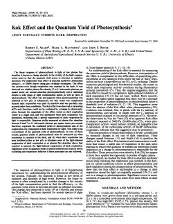 Kok Effect and the Quantum Yield of Photosynthesis