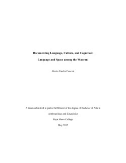 Documenting Language, Culture, and Cognition: Language and