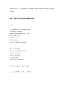 A Rich Landscape of Affordances