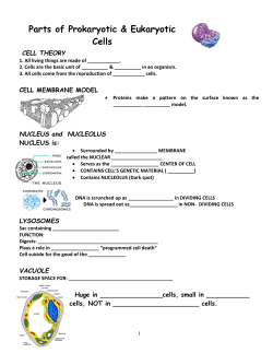 Parts of Prokaryotic