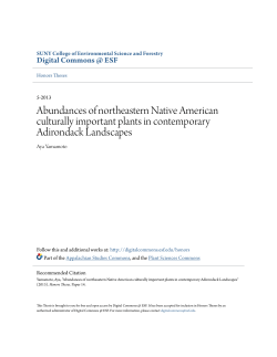 Abundances of northeastern Native American culturally important