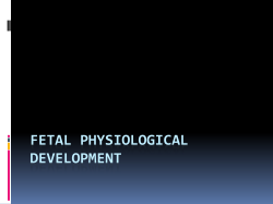 fetal physiological development