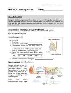 u15 practice: reproductive systems