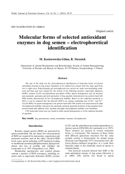 Molecular forms of selected antioxidant enzymes in dog semen