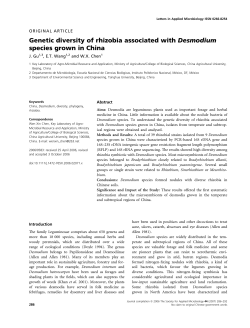 Genetic diversity of rhizobia associated with Desmodium species