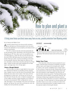 How to plan and plant a living snow fence