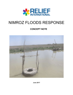 nimroz_floods_response_concept_note_by_ri_june_2017