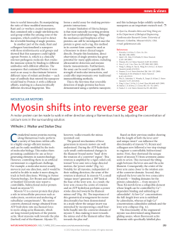 Molecular motors: Myosin shifts into reverse gear