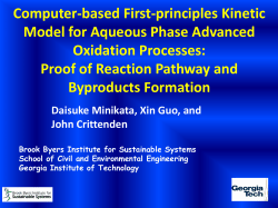 PDF - Brook Byers Institute for Sustainable Systems