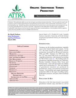 Organic Greenhouse Tomato Production - ATTRA