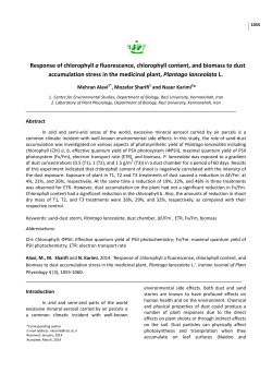 Response of chlorophyll a fluorescence, chlorophyll content, and