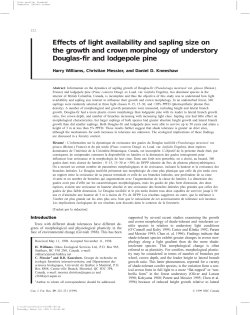 Effects of light availability and sapling size on the - Archipel